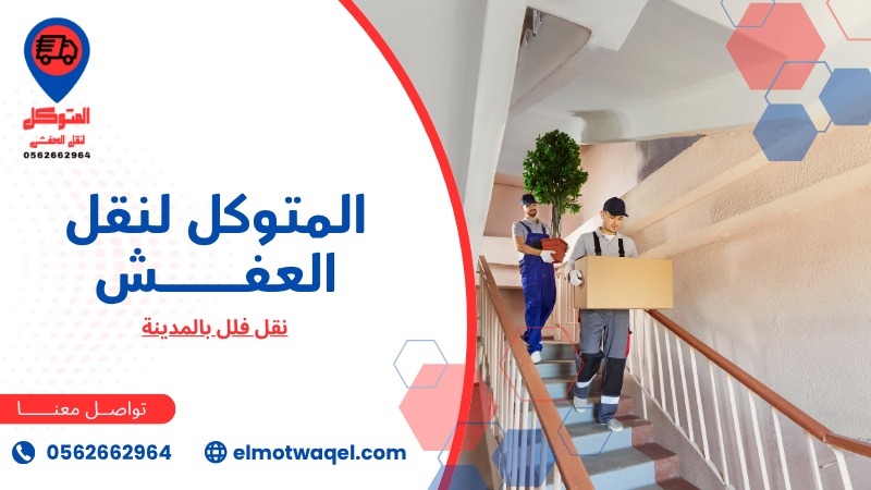 نقل فلل بالمدينة (4)
